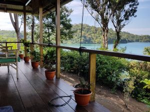 View from Bungalow Soa Soa at Divers Lodge Lembeh